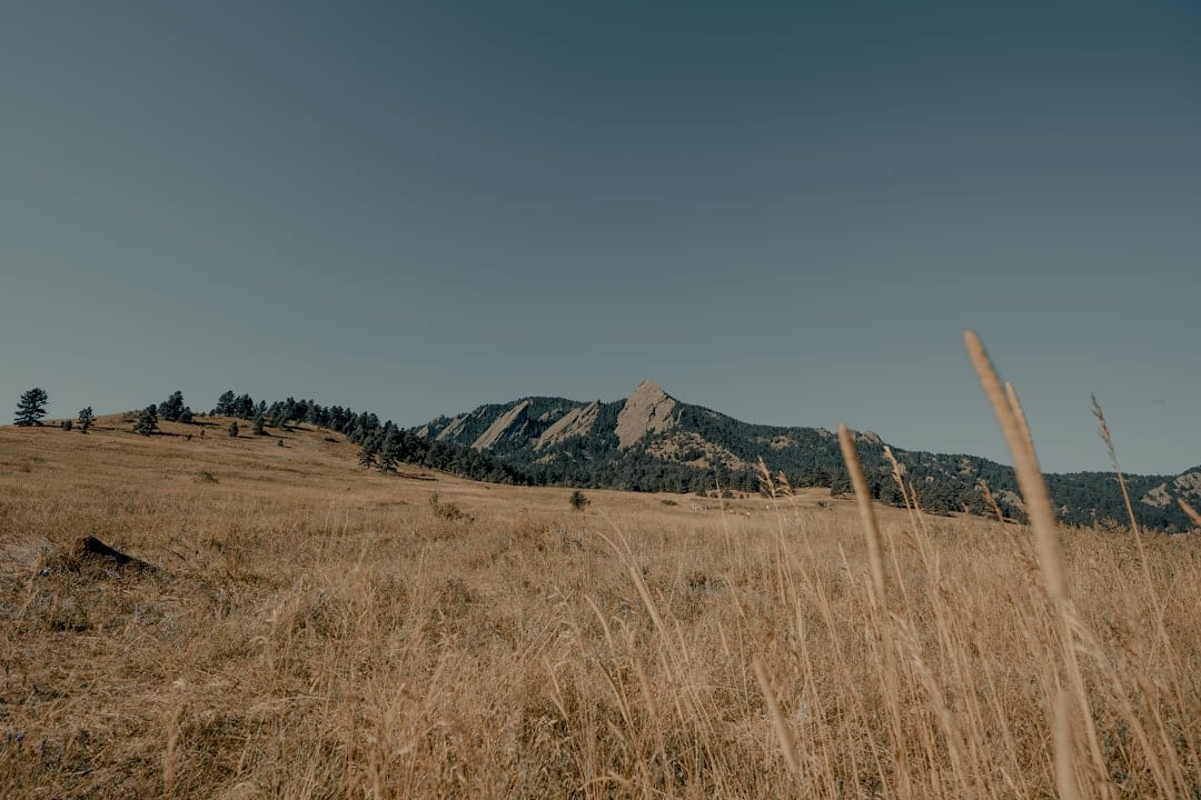 Endurance and Vision