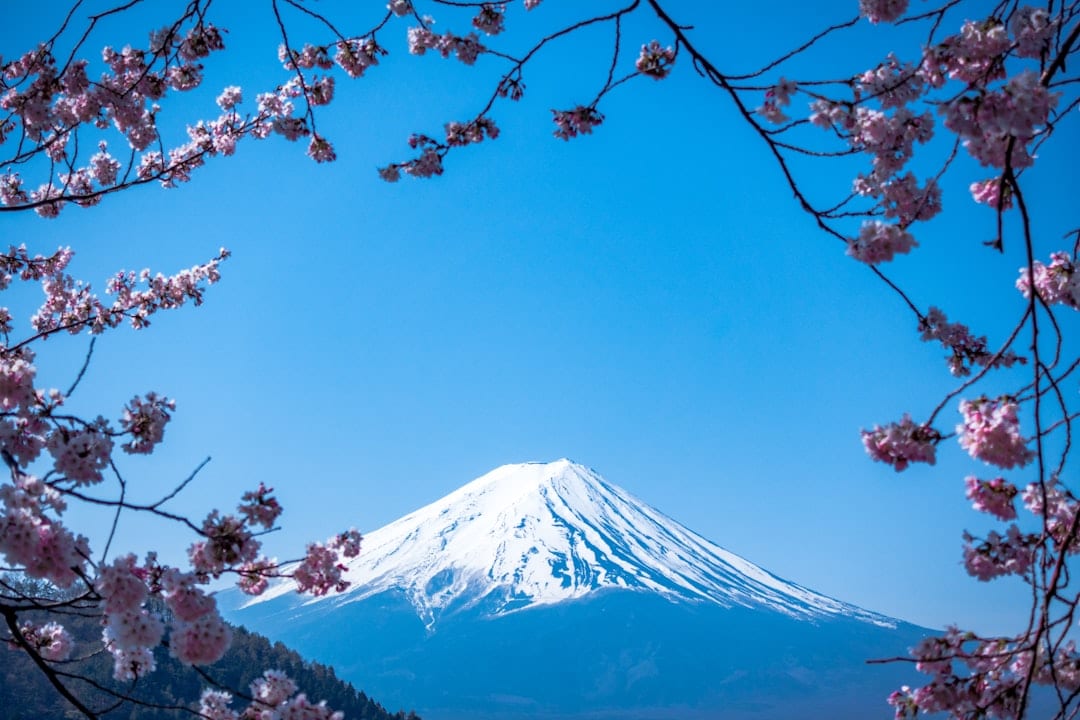 Japan's Bond Market Collapse