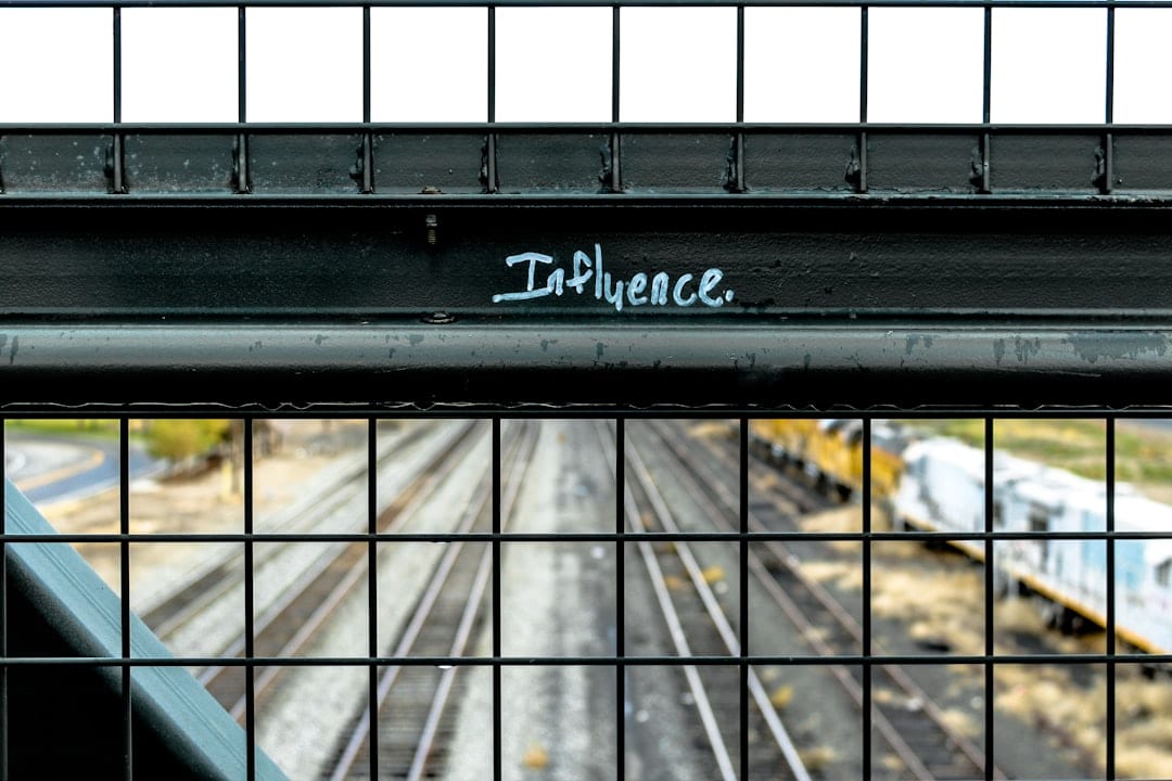Leadership in The Trump 2.0 Era: Resist or Influence?