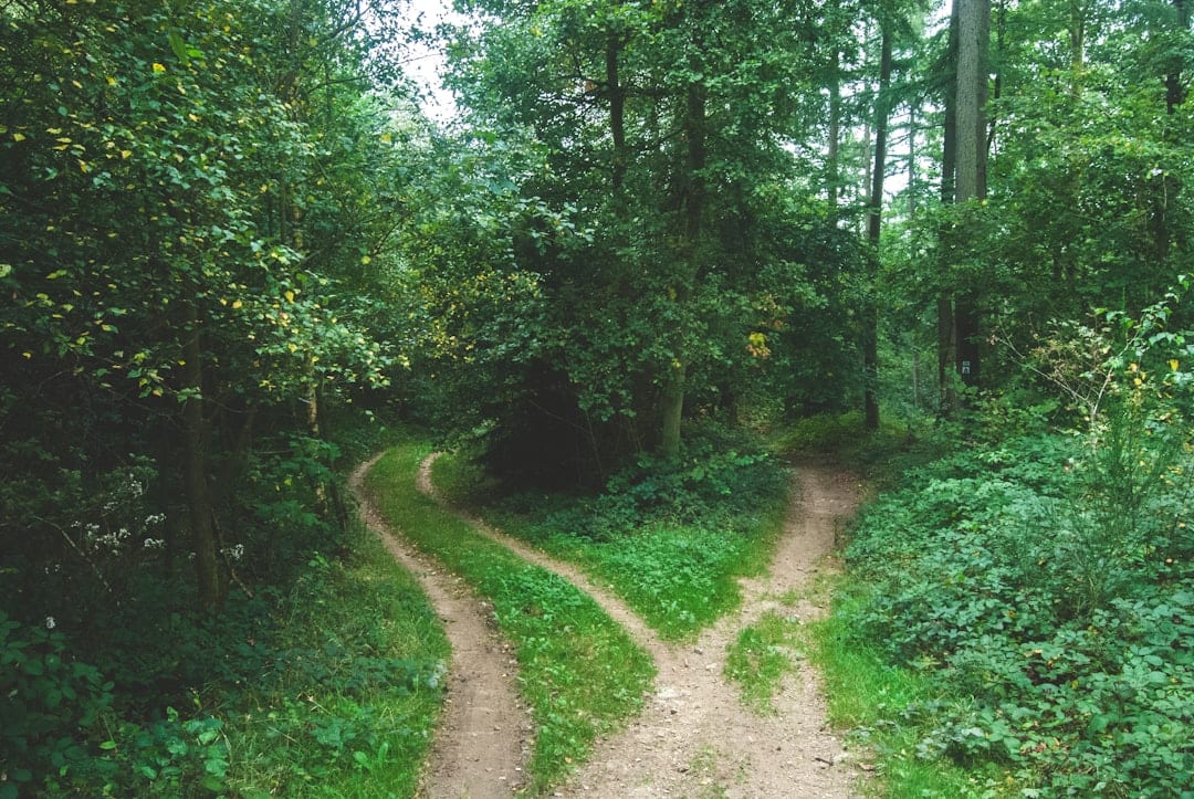 The Weight of Choice: Why Character Reveals Itself in the Small Decisions 
